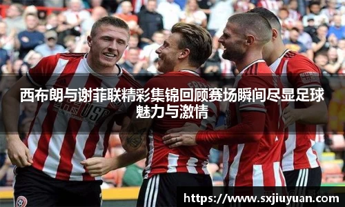 西布朗与谢菲联精彩集锦回顾赛场瞬间尽显足球魅力与激情